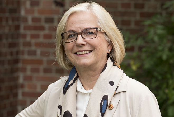 Vice-Dean for Research and Researcher Education Grete Dyb  