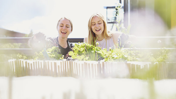 Two smiling students in a community garden with plants in front